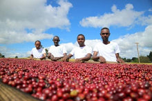 Afbeelding in Gallery-weergave laden, Sookoo Coffee Tropix
